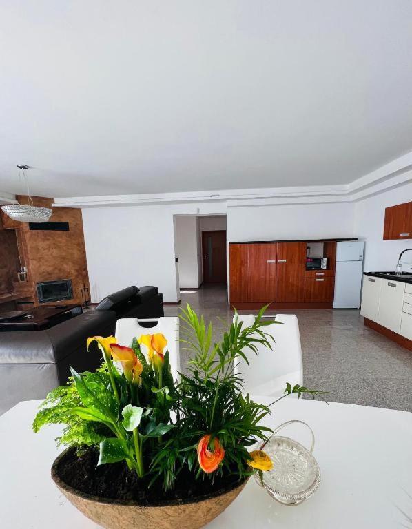 Koliba Apartments 2 Μπρατισλάβα Εξωτερικό φωτογραφία